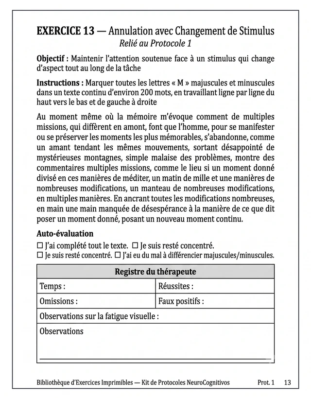 Protocole 1 : Attention soutenue